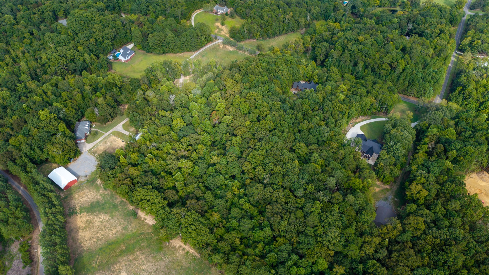 493 Mowery Circle Charleston, TN 37310 - Photo 9 of 14 a view of a yard and flowers