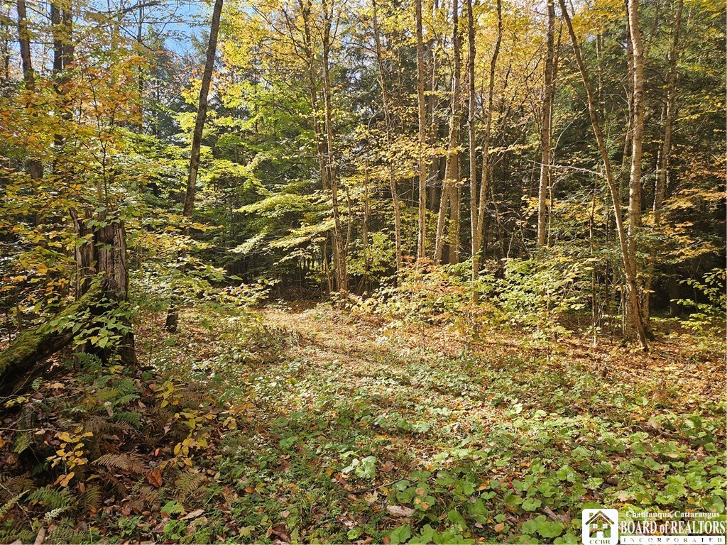 0 Sawmill Run Road Little Valley, NY 14755 - Photo 1 of 1 Gallery Image 1