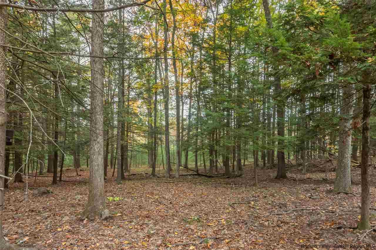 42 Crofts Road West Hurley, NY 12491 - Photo 30 of 33 Photo 30