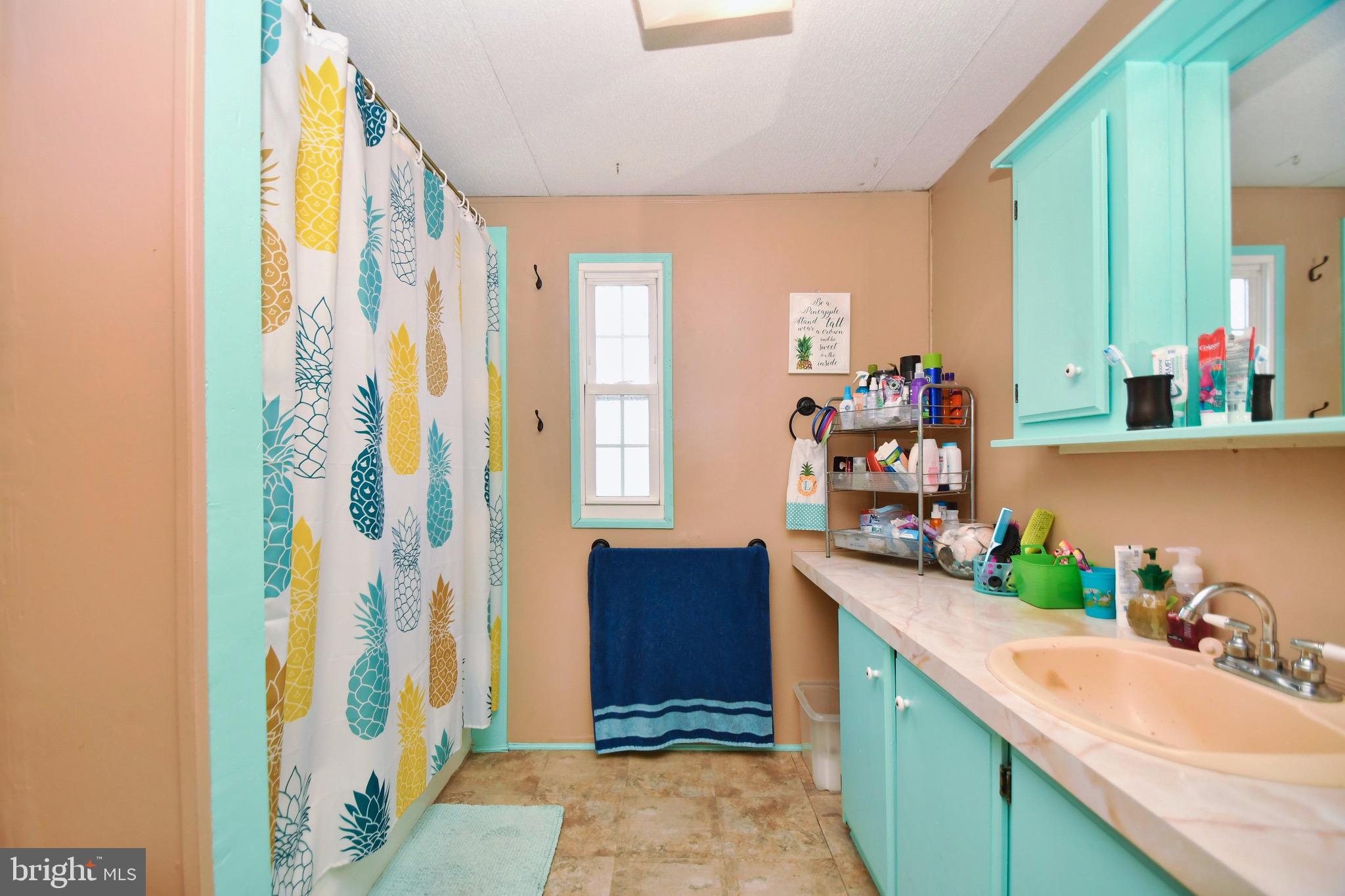 124 Lariat Road Middle River, MD 21220 - Photo 14 of 21 a bathroom with a sink and a mirror