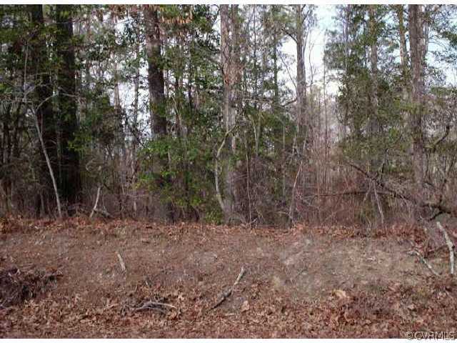 0 11.2 Acres Hair Road Disputanta, VA 23842 - Photo 1 of 1 a view of forest