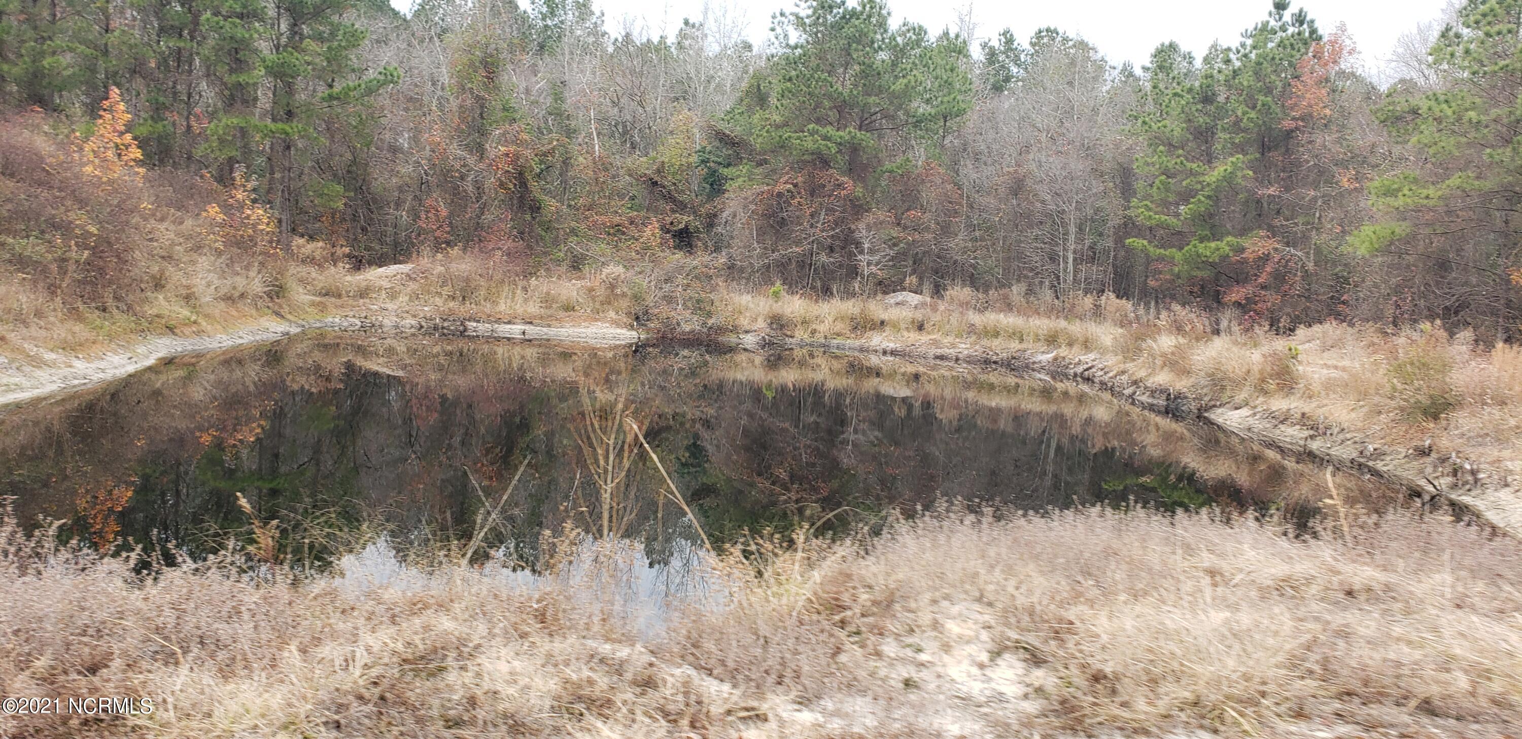 305 Deep Bottom Road Wallace, NC 28466 - Photo 8 of 12 20211210_132553