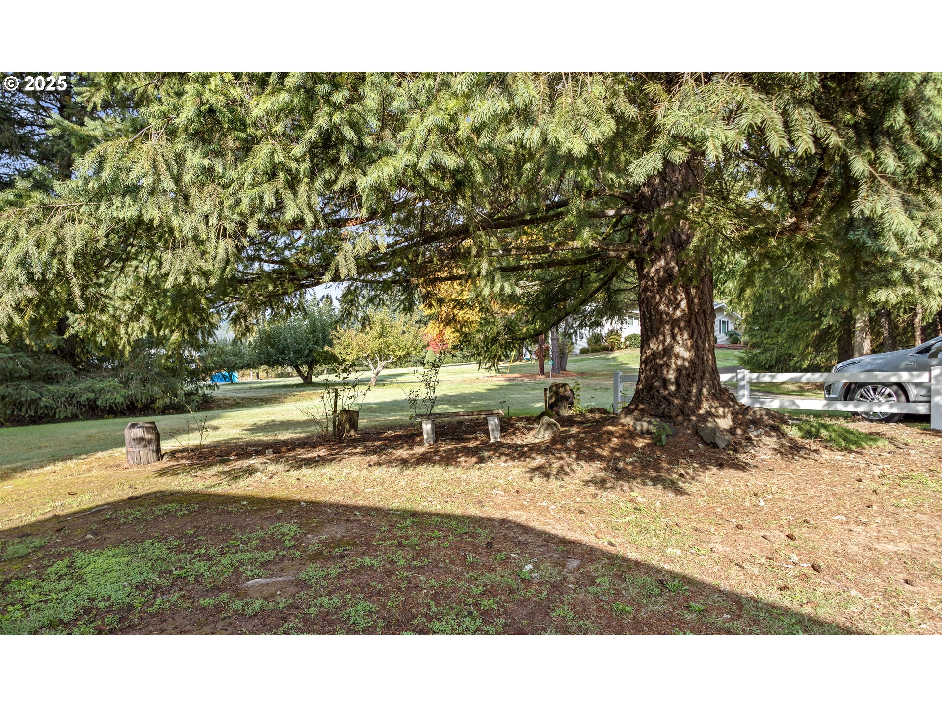5673 Southwest Old Highway 47 Gaston, OR 97119 - Photo 12 of 33 a view of a yard with a tree