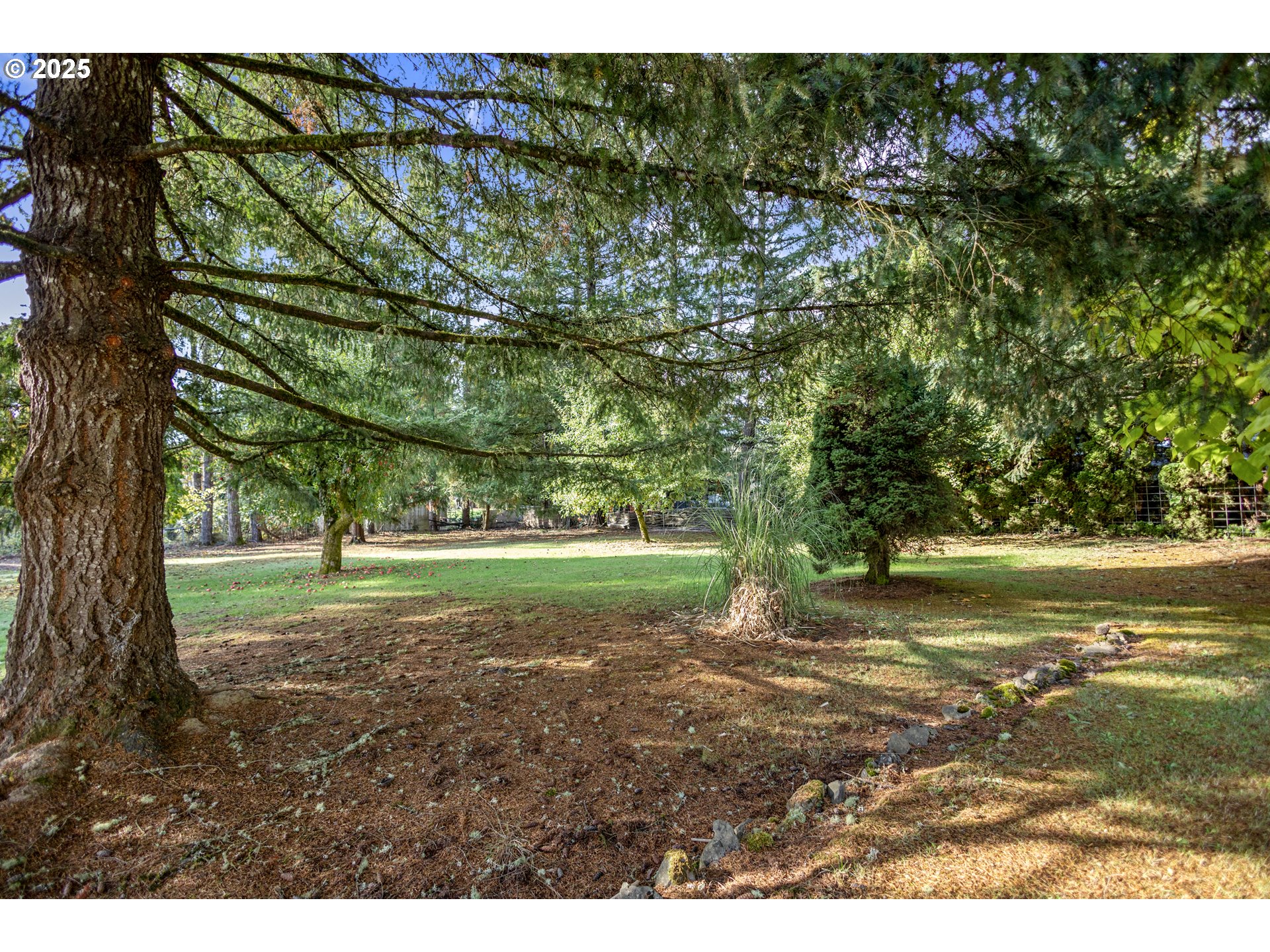 5673 Southwest Old Highway 47 Gaston, OR 97119 - Photo 7 of 33 a view of a yard with a tree