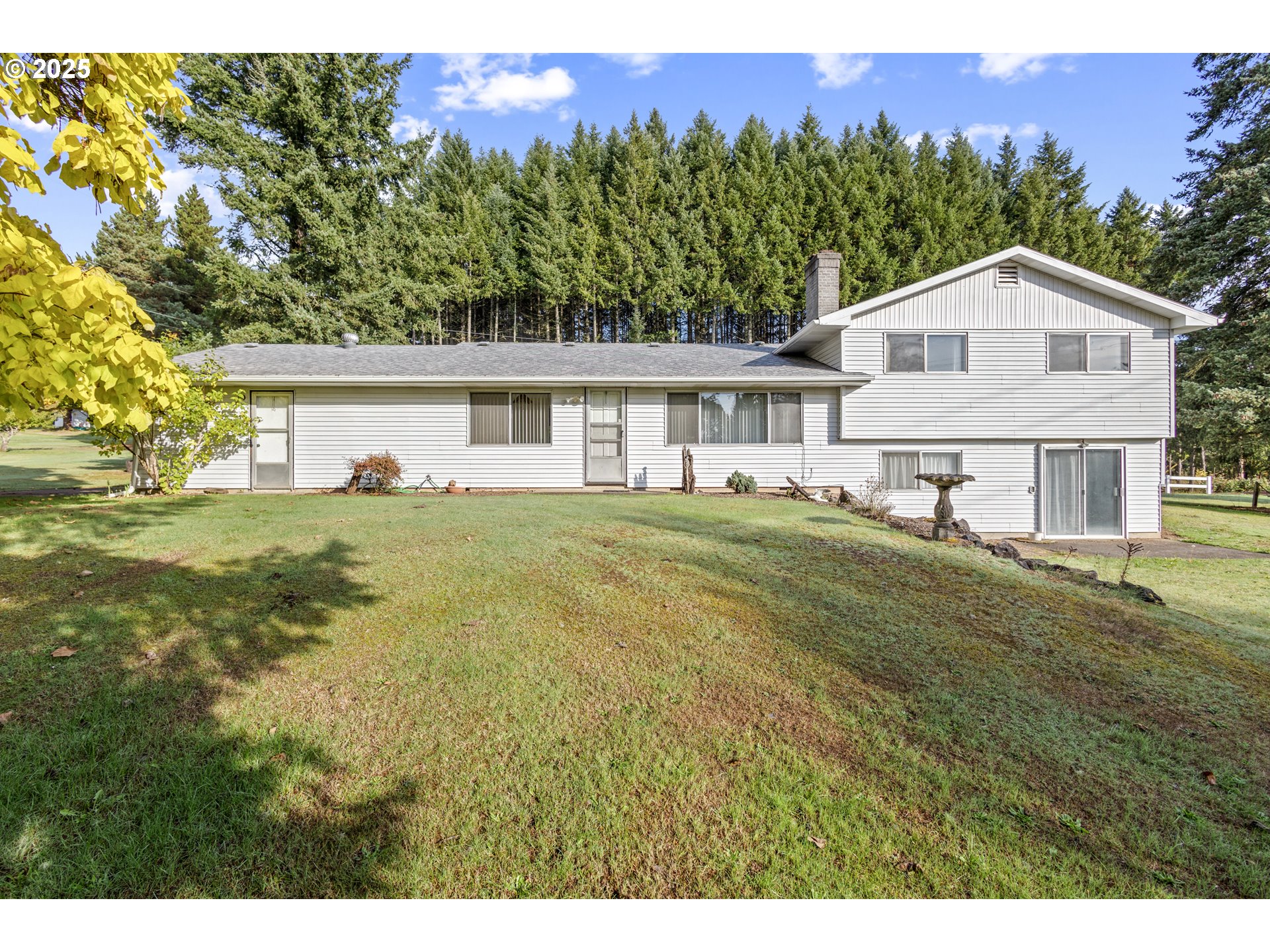 5673 Southwest Old Highway 47 Gaston, OR 97119 - Photo 8 of 33 a view of a house with a big yard and large trees
