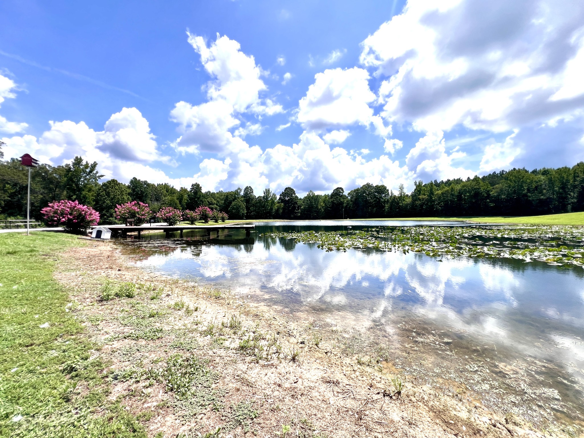 3375 Rowland Mill Road Buena Vista, TN 38318 - Photo 68 of 85 Gallery Image 68
