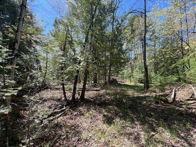 0 Flees Road Northport, MI 49670 - Photo 2 of 10 Gallery Image 2
