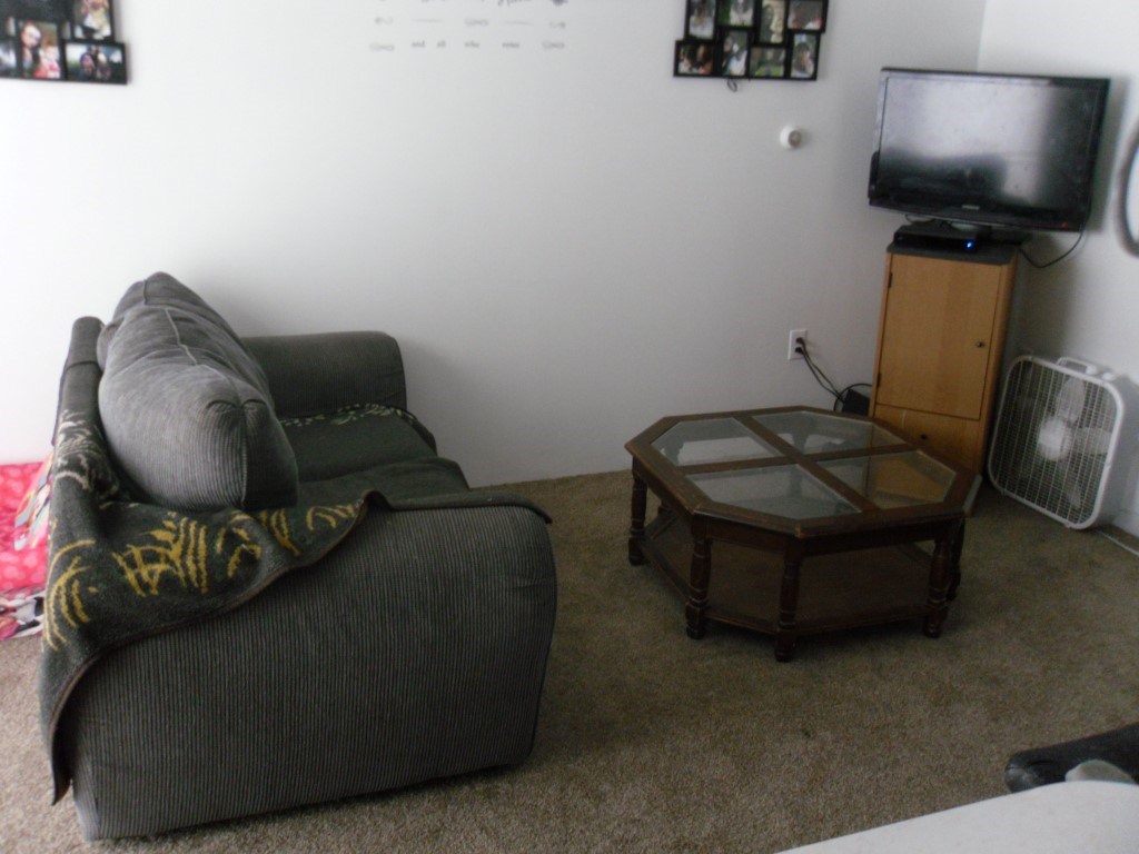 835 North Littlefield Road Weidman, MI 48893 - Photo 9 of 14 1844024-8.JPG