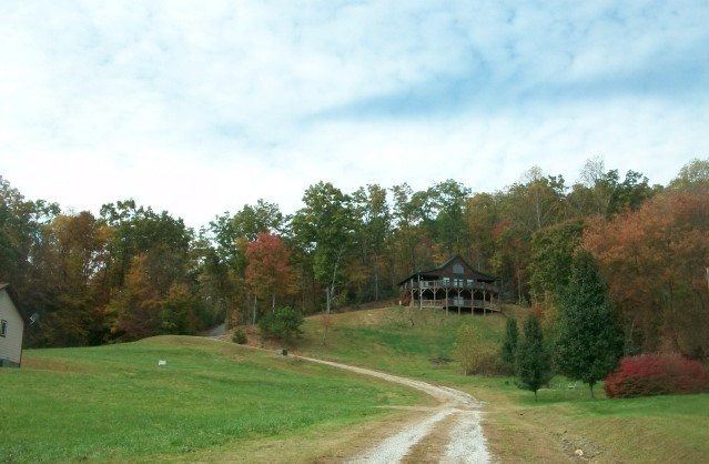 850 Bluff Road Marble, NC 28905 - Photo 6 of 8