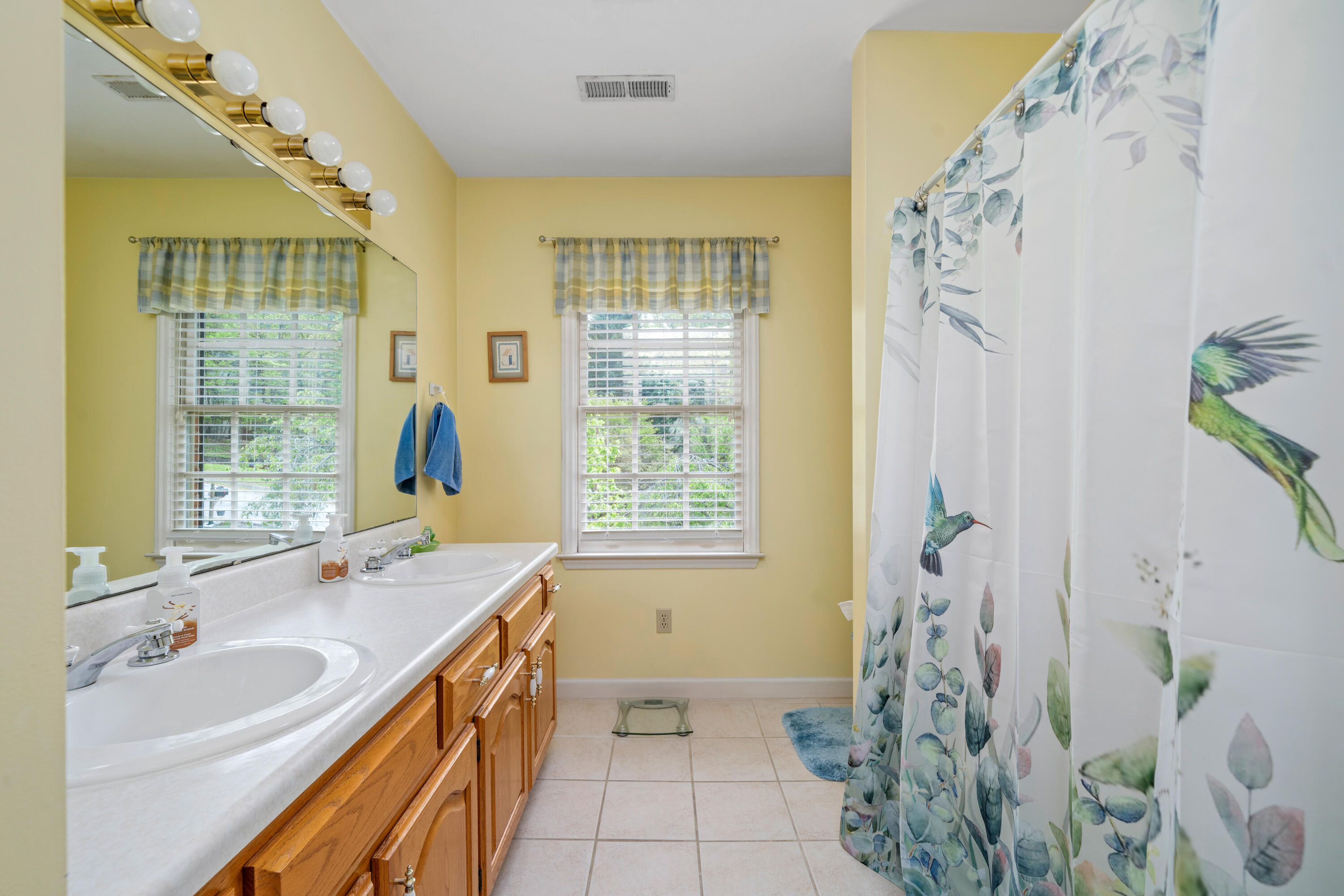 480 Downing Street Roanoke, VA 24019 - Photo 17 of 29 a bathroom with a tub sink and mirror