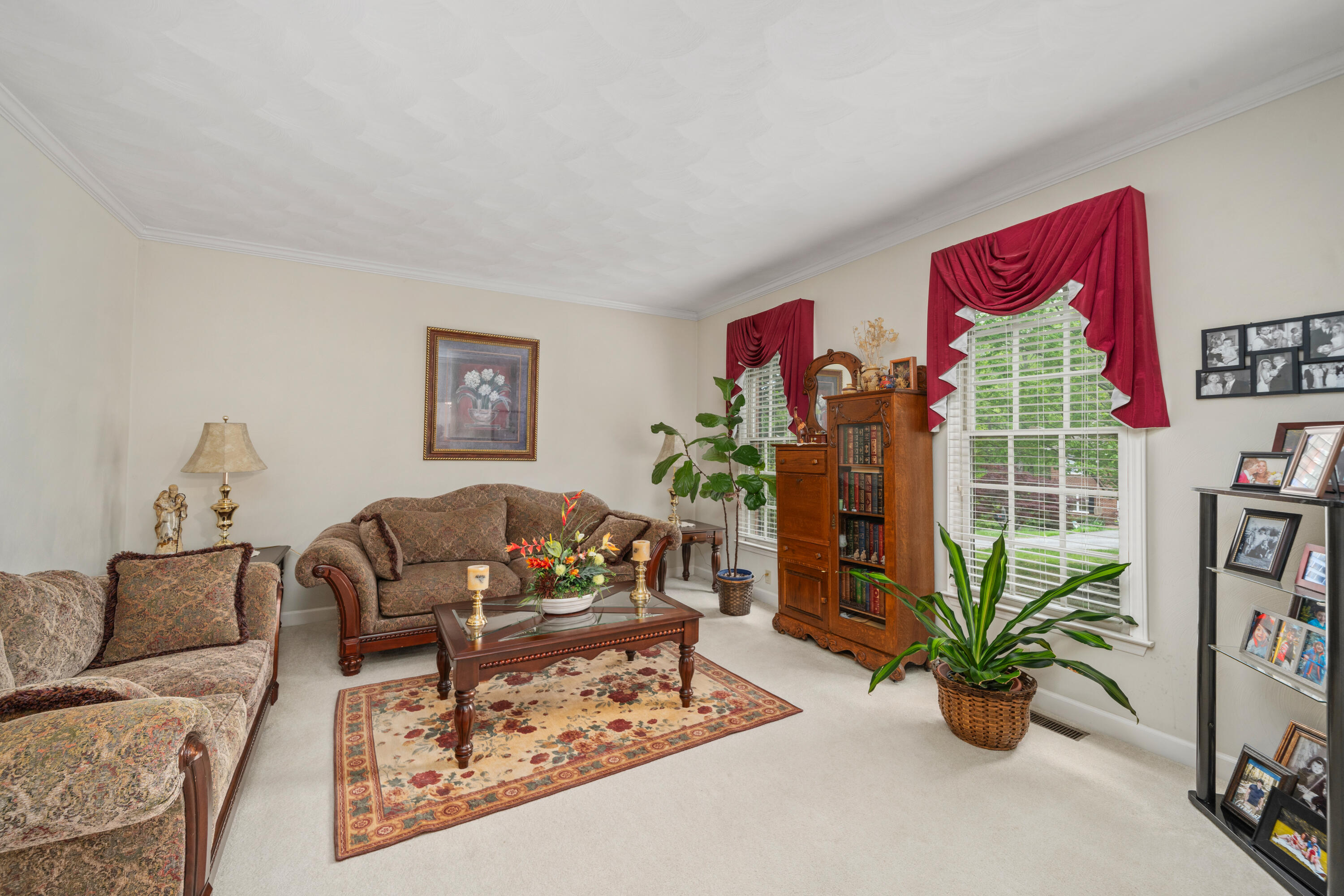 480 Downing Street Roanoke, VA 24019 - Photo 2 of 29 a living room with furniture flowerpot and wooden floor