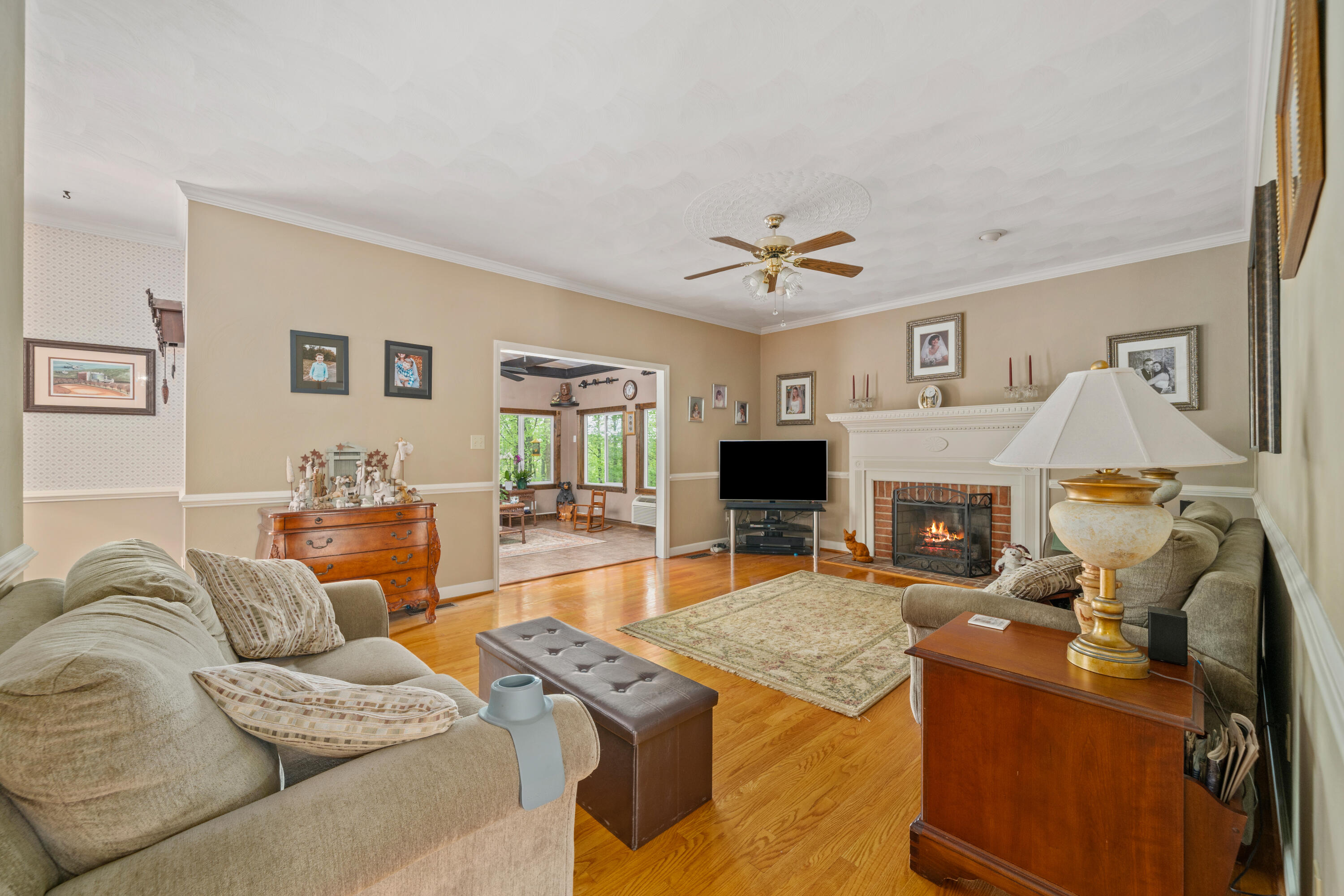 480 Downing Street Roanoke, VA 24019 - Photo 3 of 29 a living room with furniture a fireplace and a flat screen tv