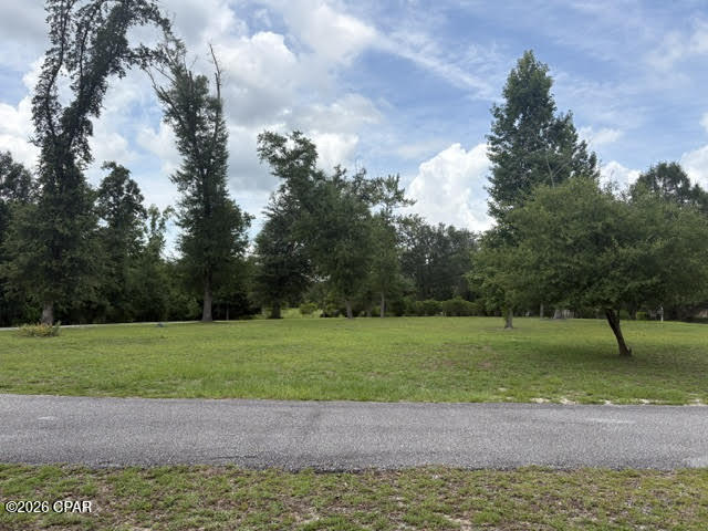2485 Spring Creek Road Marianna, FL 32448 - Photo 33 of 37