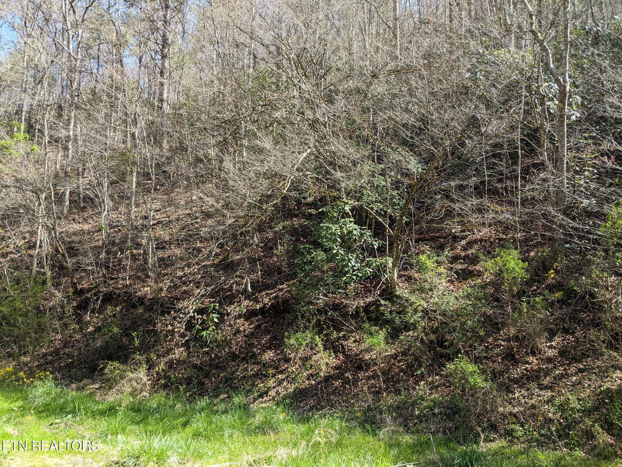 760 Black Branch Road Del Rio, TN 37727 - Photo 7 of 16 760 Black Branch Rd