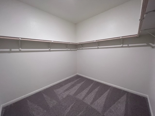 130 Rubrum Road Kyle, TX 78640 - Photo 18 of 25 Gallery Image 18