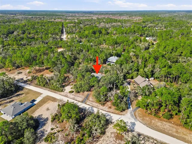 an aerial view of residential houses with outdoor space and trees