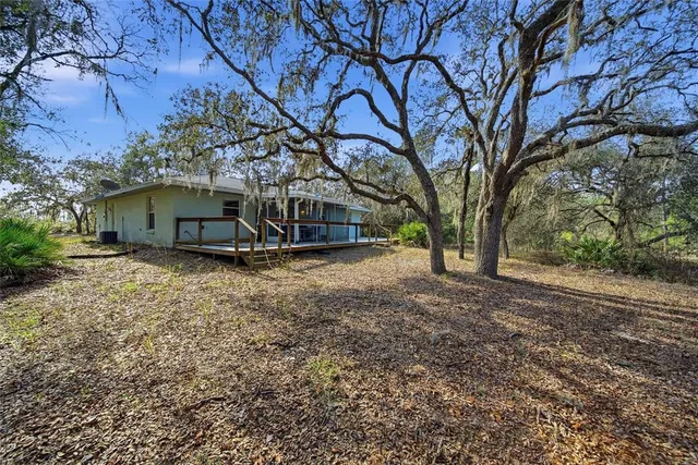 a view of house with a yard and large tree