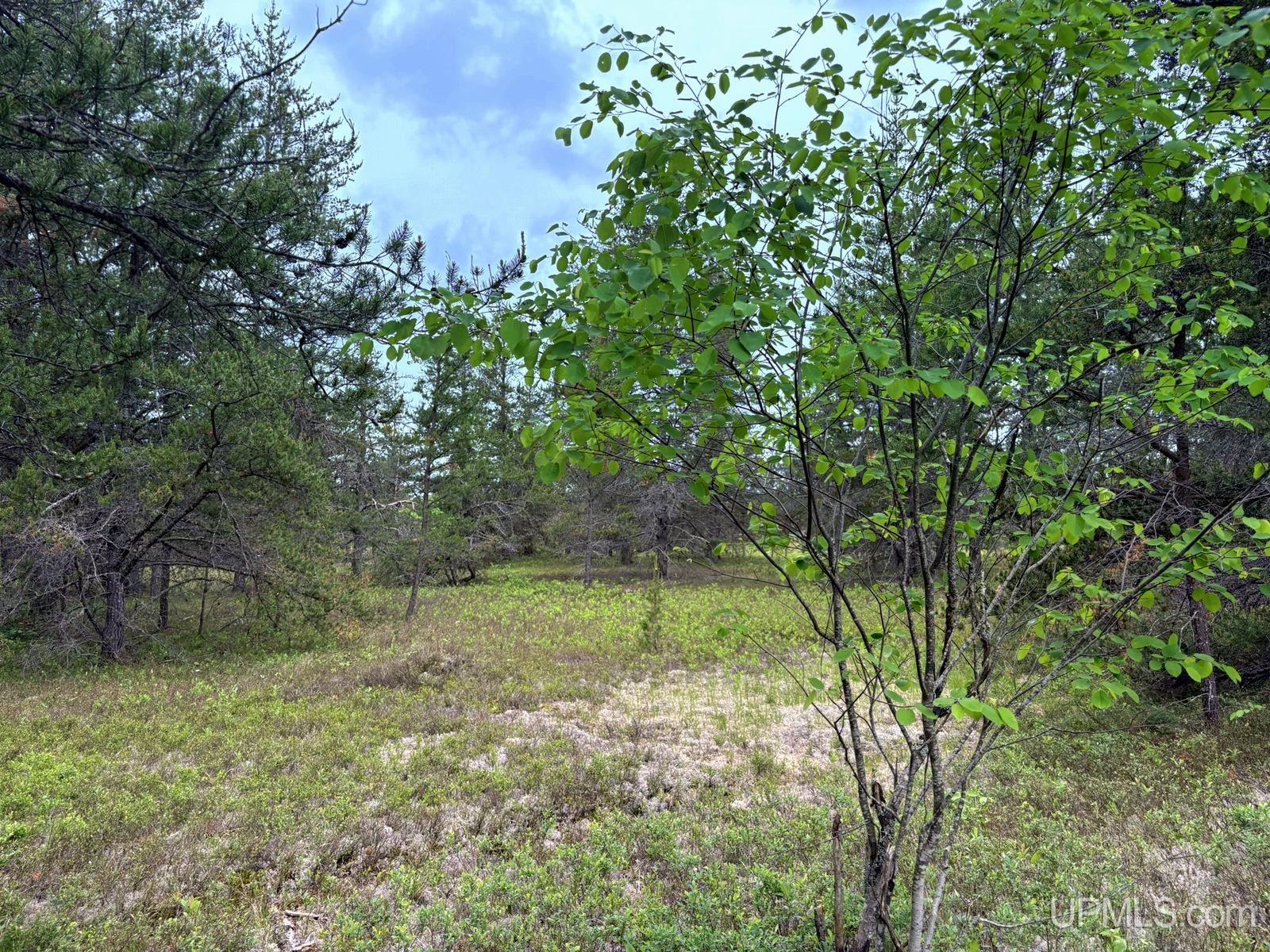 Tbd Tbd Co Road Gwinn, MI 49841 - Photo 52 of 58