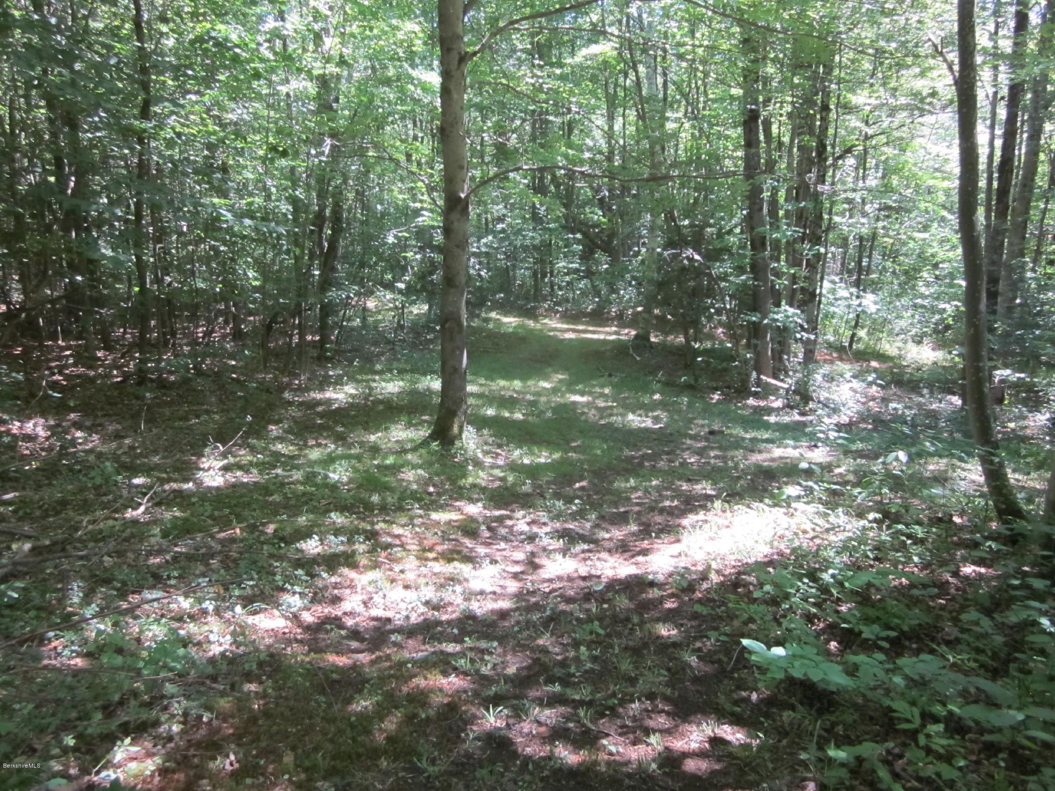 661 High St Hill Road Windsor, MA 01270 - Photo 64 of 75 a backyard of a house with lots of green space