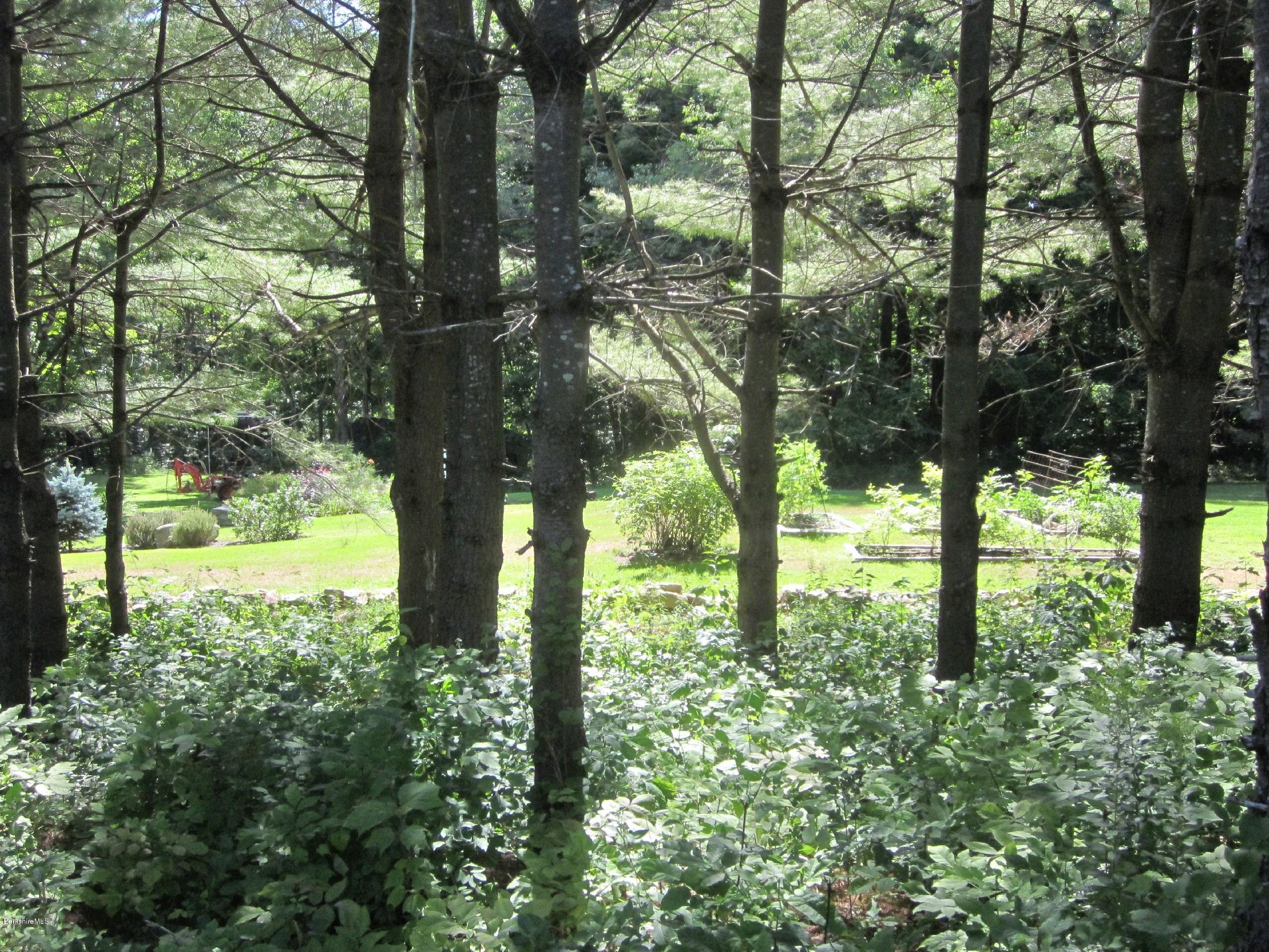 661 High St Hill Road Windsor, MA 01270 - Photo 66 of 75 a view of outdoor space and trees