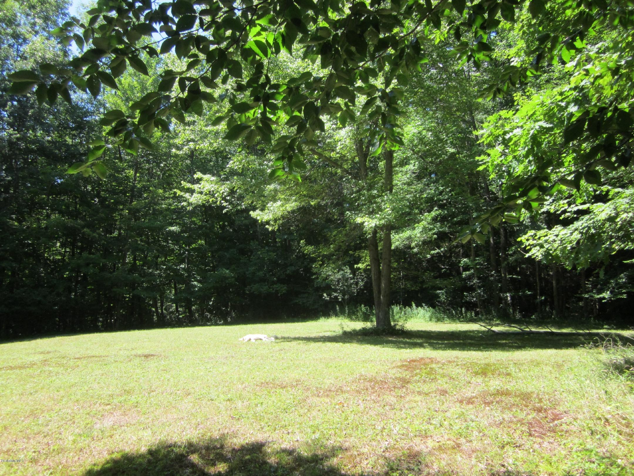 661 High St Hill Road Windsor, MA 01270 - Photo 68 of 75 goodyardrear