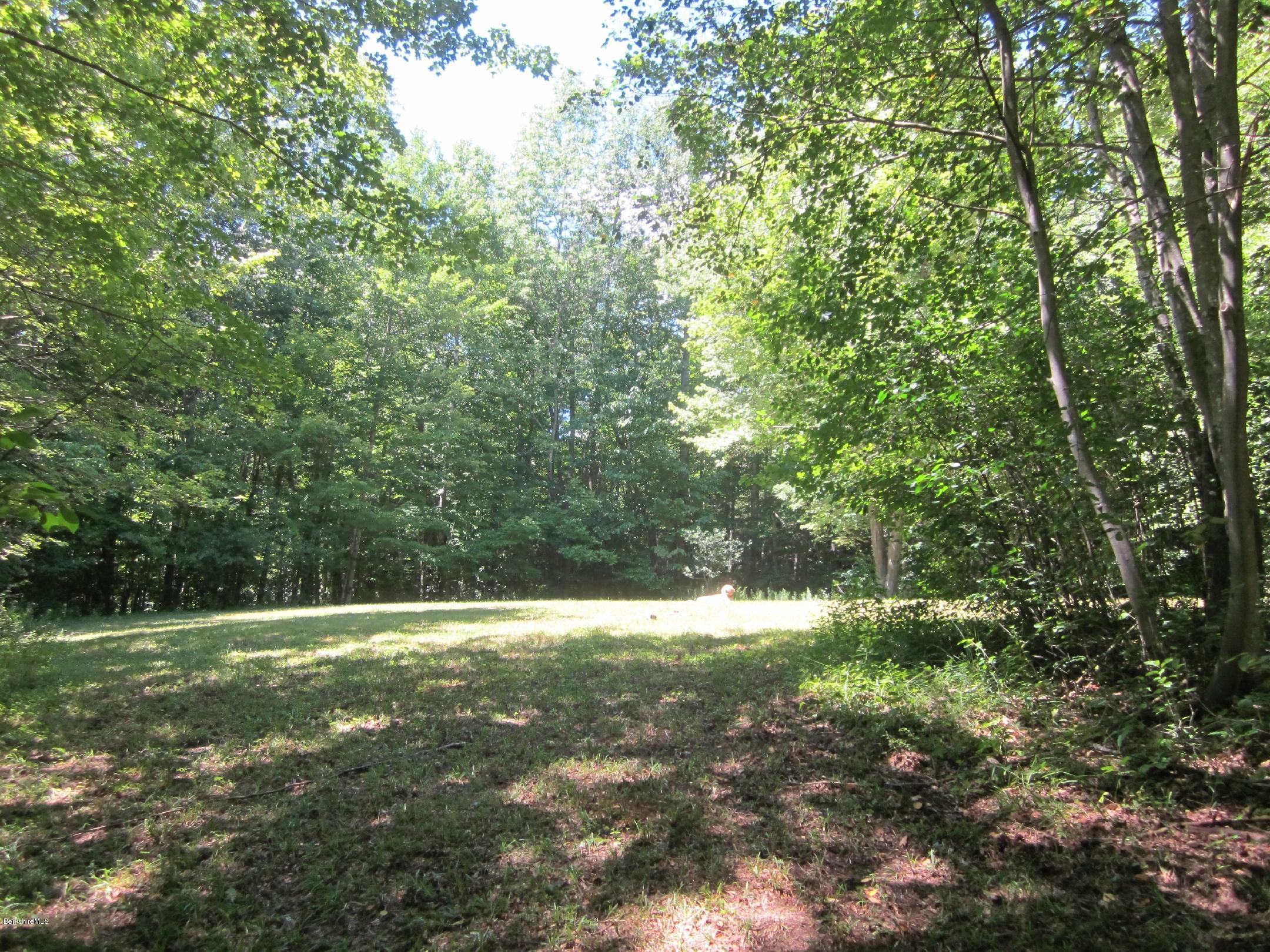 661 High St Hill Road Windsor, MA 01270 - Photo 69 of 75 a view of outdoor space with trees all around