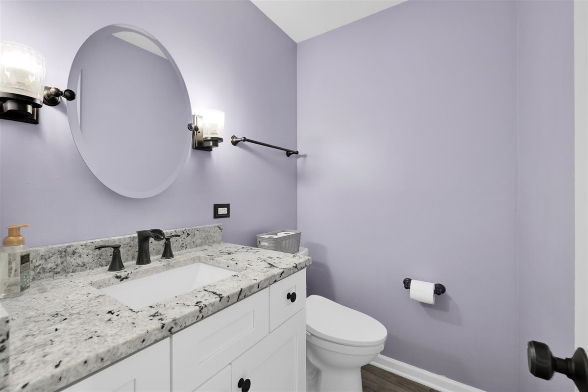 607 Cottage Road Batavia, IL 60510 - Photo 9 of 36 a bathroom with a sink and mirror with toilet