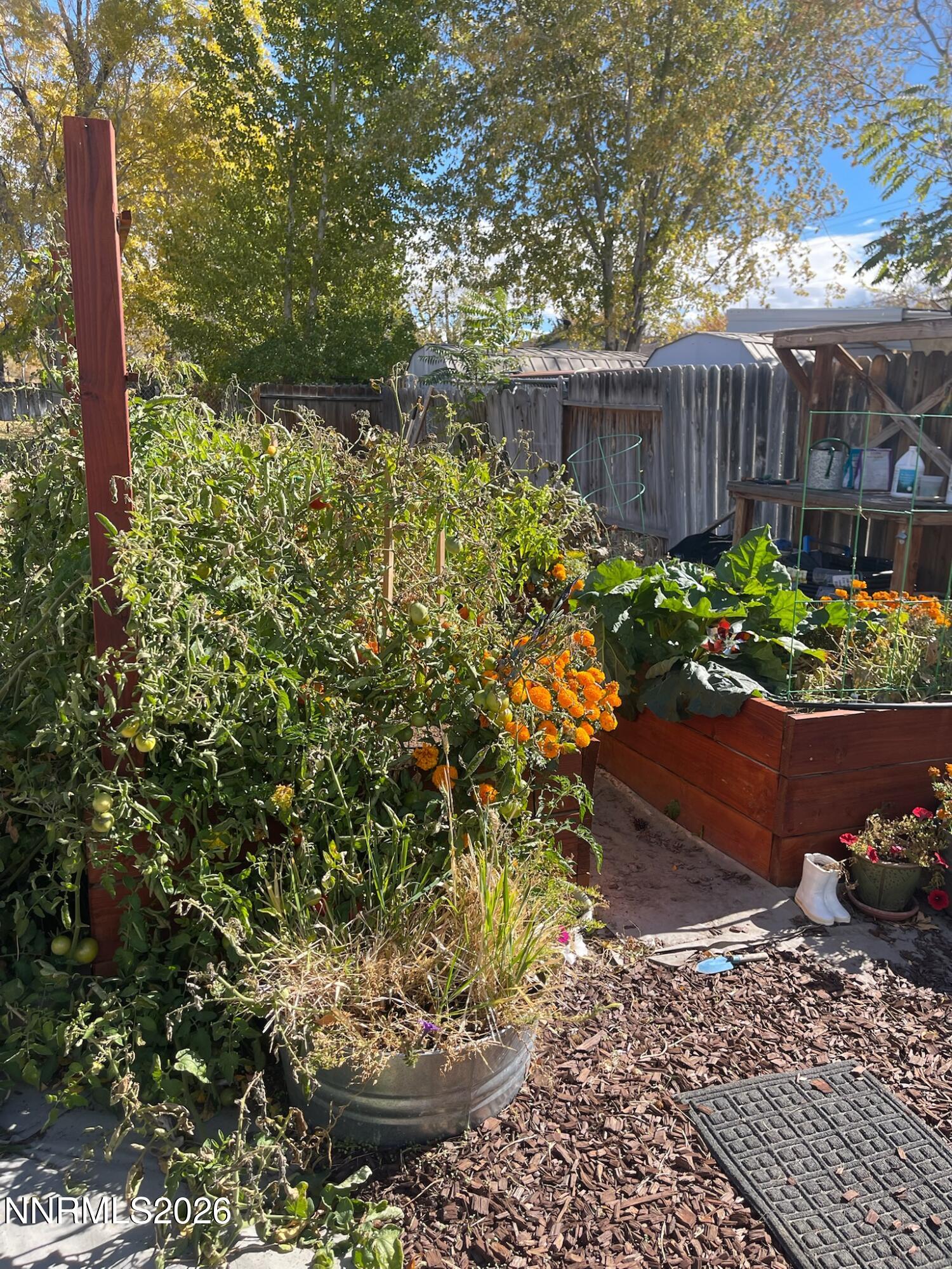 334 Kay Way Yerington, NV 89447 - Photo 20 of 22 a garden with a fountain