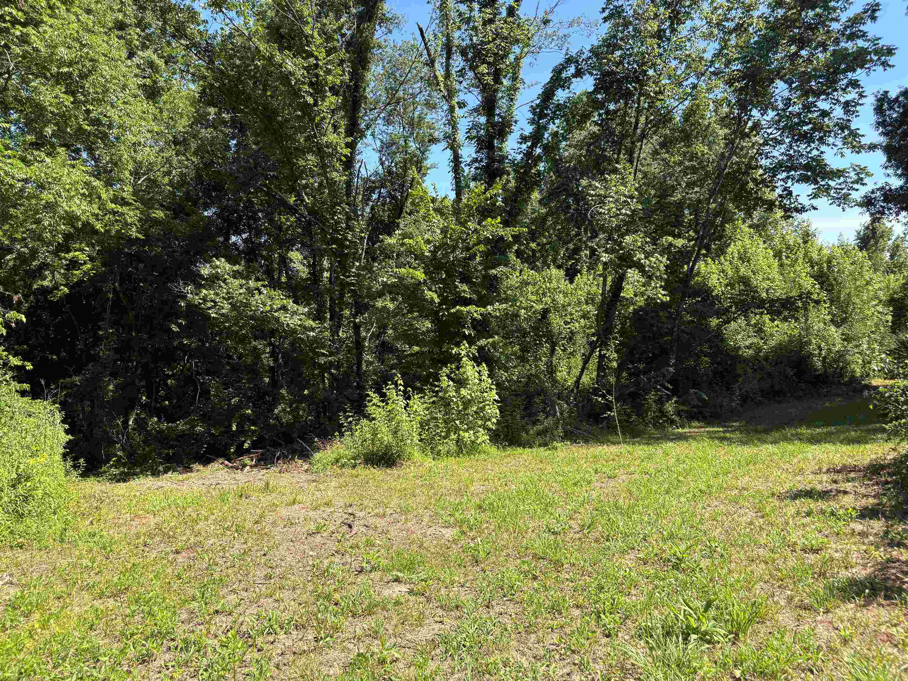0 Walsh Road, Unit LOT 3 Millington, TN 38053 - Photo 12 of 12