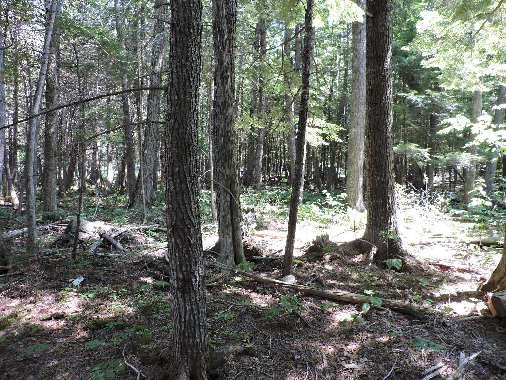 6-16a-50 Rams Island Road Dover-Foxcroft, ME 04426 - Photo 3 of 7 Photo