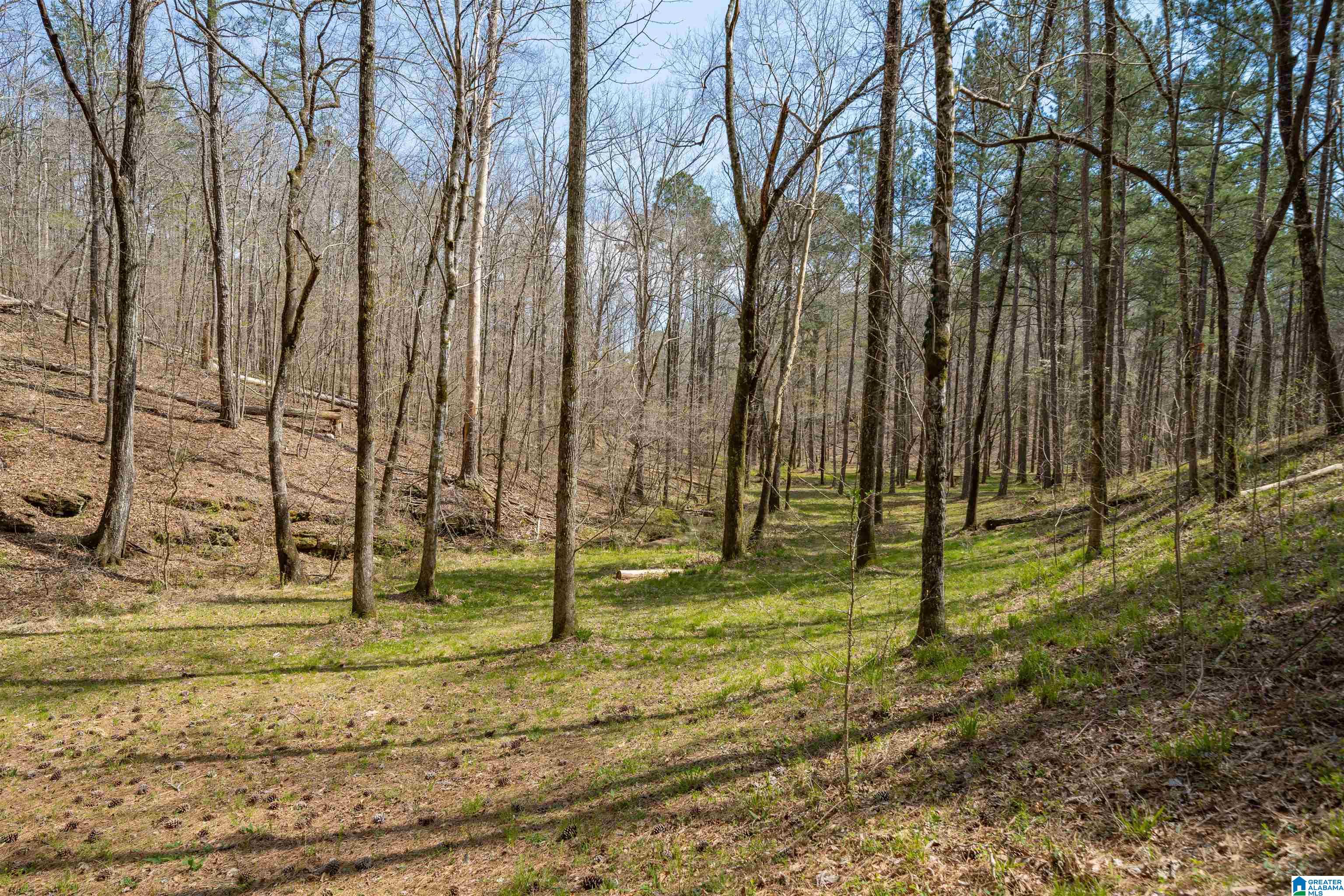 184 Sequoyah Road Pell City, AL 35128 - Photo 27 of 46