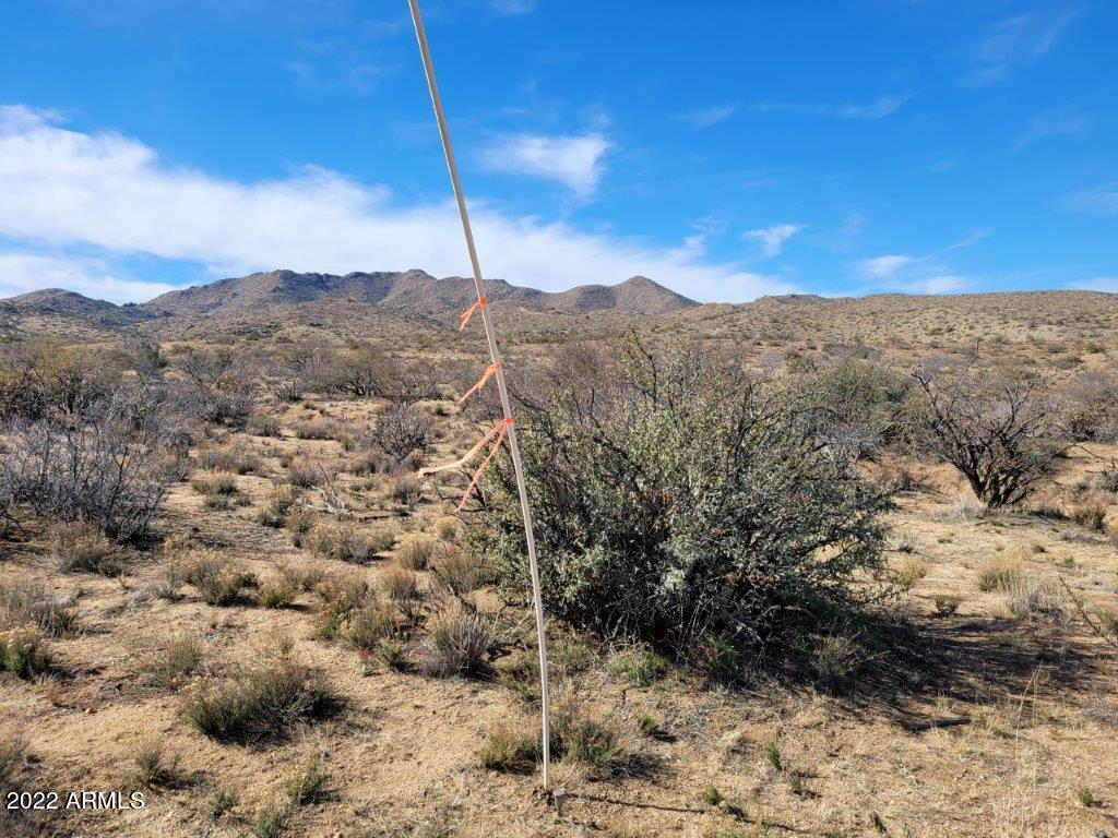 44 West Traveler Way, Unit 44A Congress, AZ 85332 - Photo 11 of 14 a view of a forest with a mountain