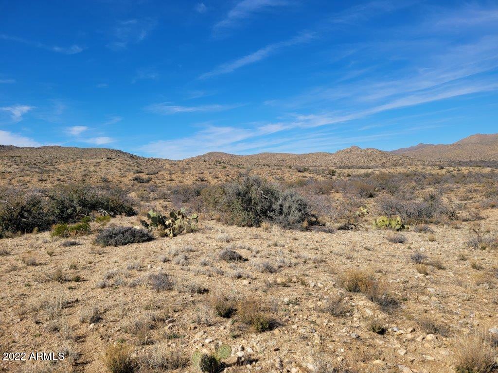 44 West Traveler Way, Unit 44A Congress, AZ 85332 - Photo 3 of 14 a view of a dry yard with mountains in the background