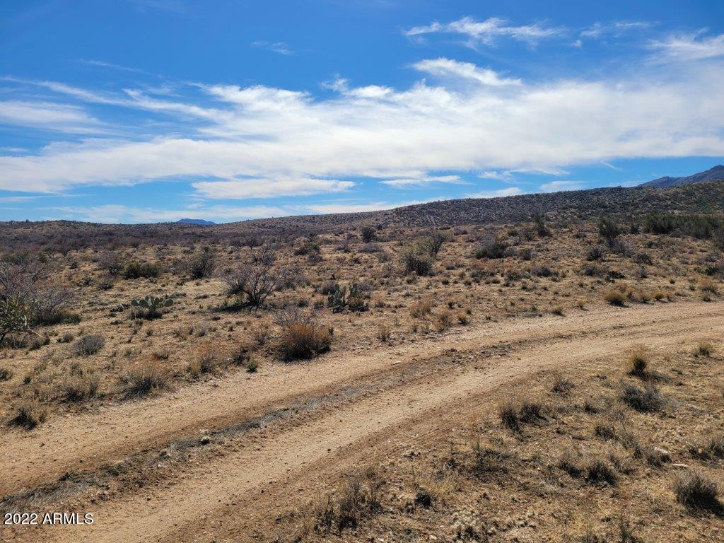 44 West Traveler Way, Unit 44A Congress, AZ 85332 - Photo 4 of 14 a view of a dry yard with trees