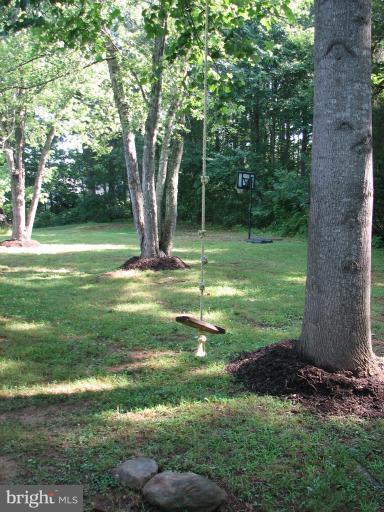 7218 Wilson Road Marshall, VA 20115 - Photo 8 of 30 a view of a backyard with large trees
