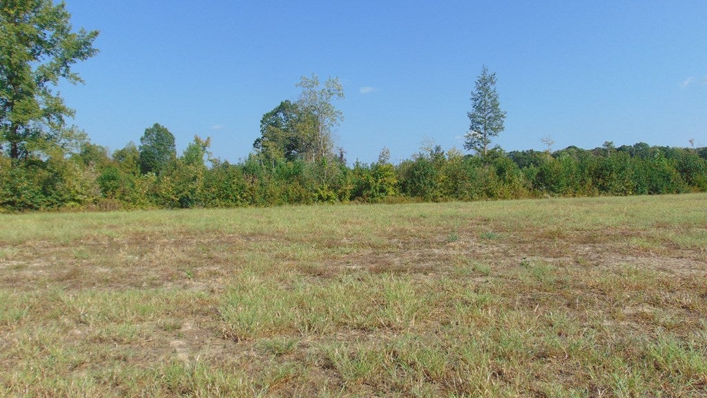 616 Hunting Creek Road Clover, VA 24534 - Photo 4 of 5 Gallery Image 4