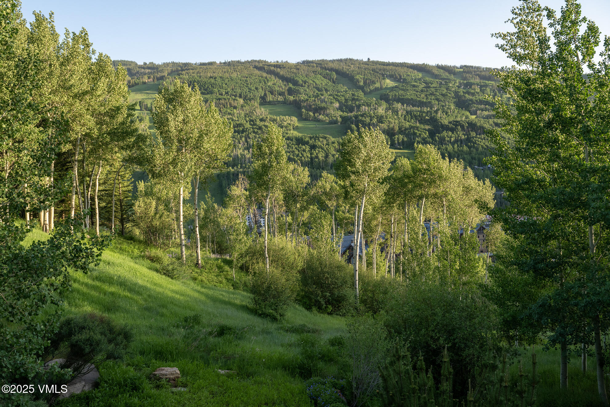 1094 Riva Glen Vail, CO 81657 - Photo 20 of 29 SFB_1374