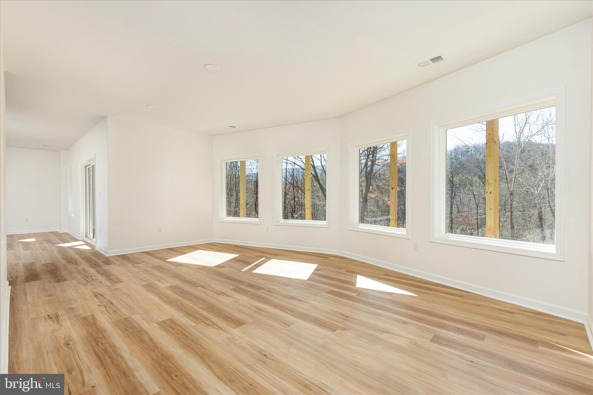 4 A Messick Road Strasburg, VA 22657 - Photo 34 of 46 2E6A4210_77 Shiloh Ln - Absolute Altitude -3 - 202