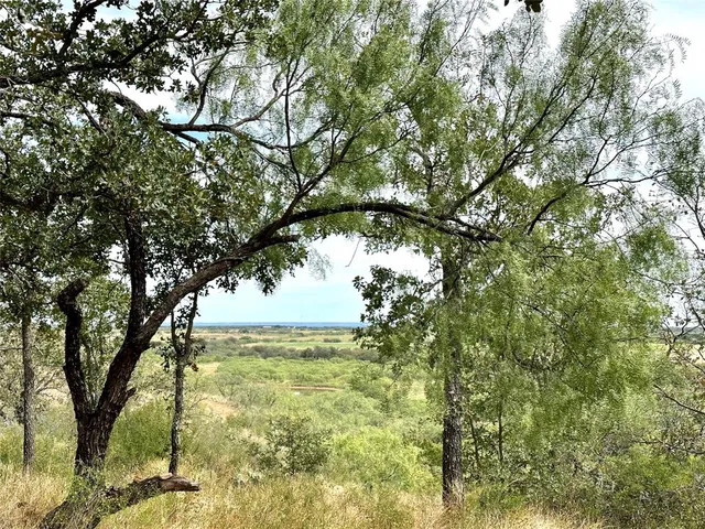 a view of outdoor space with trees
