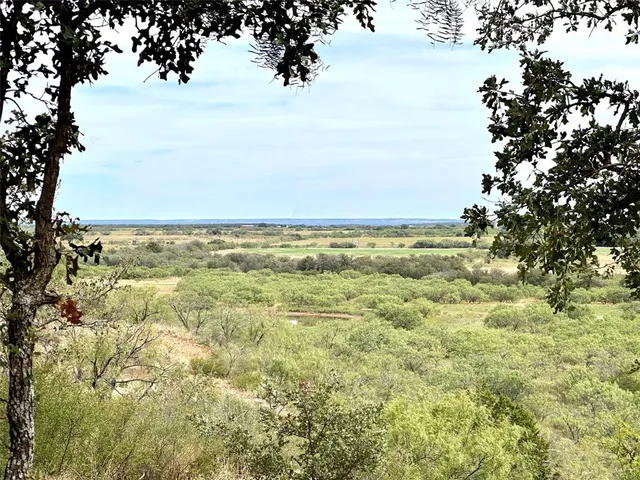 a view of a backyard with large trees