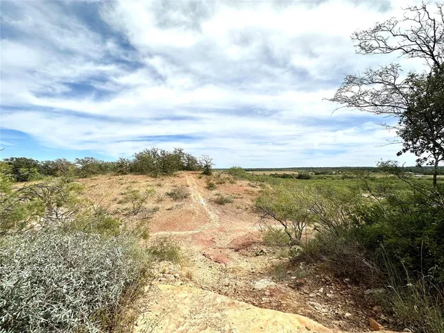 a view of a yard with an tree