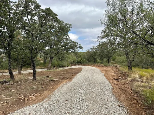 a view of a yard with a tree