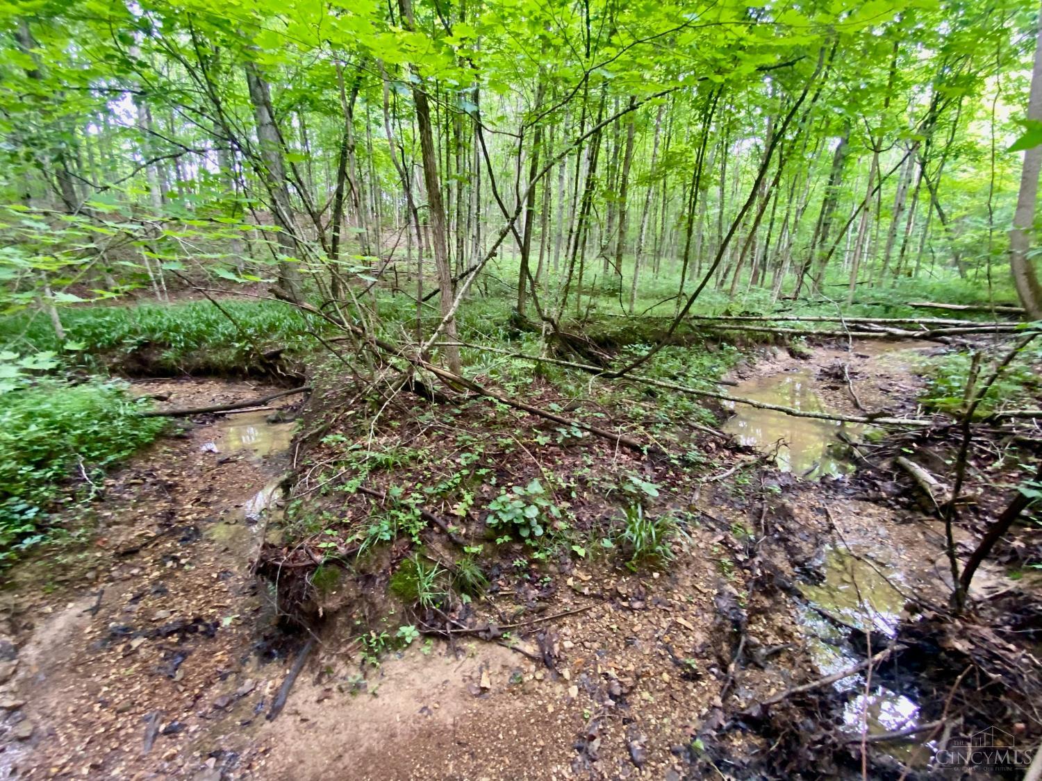 400 Lynn Morgan Road Seaman, OH 45679 - Photo 19 of 24