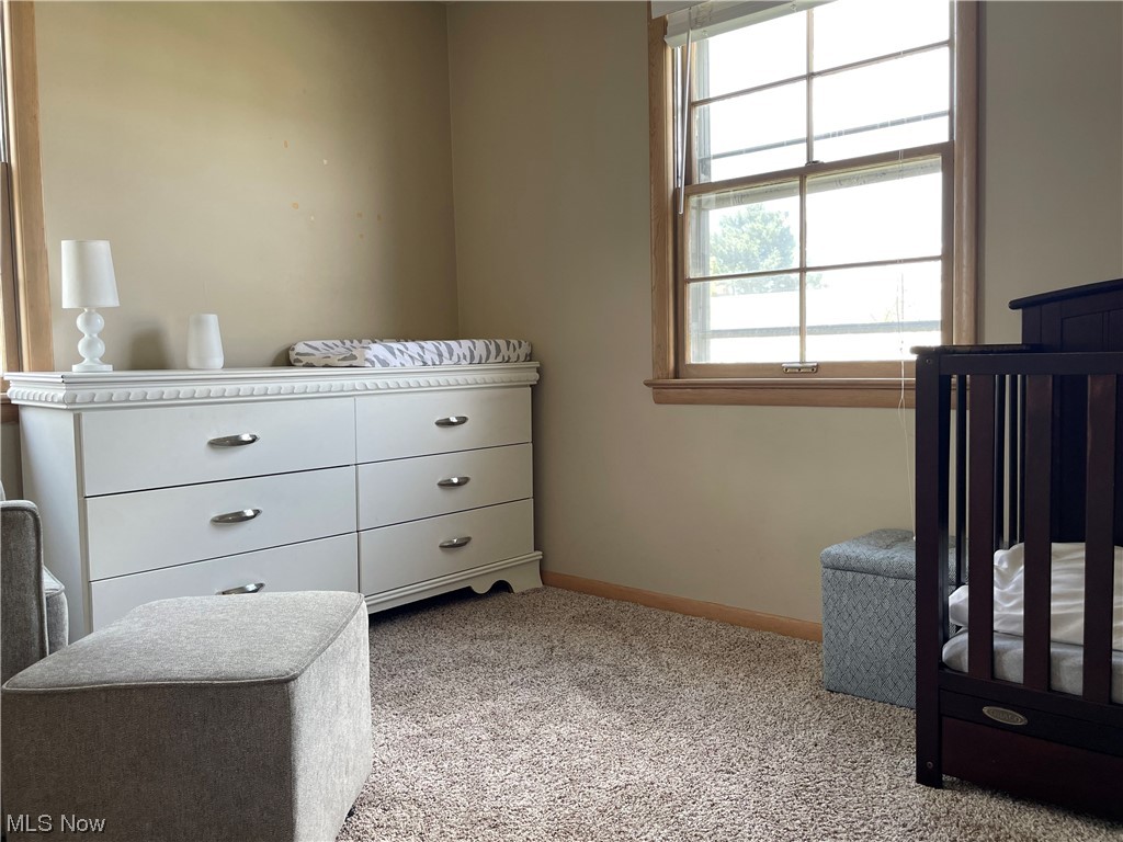 4110 Linnell Road Cleveland, OH 44121 - Photo 11 of 29 Gallery Image 11