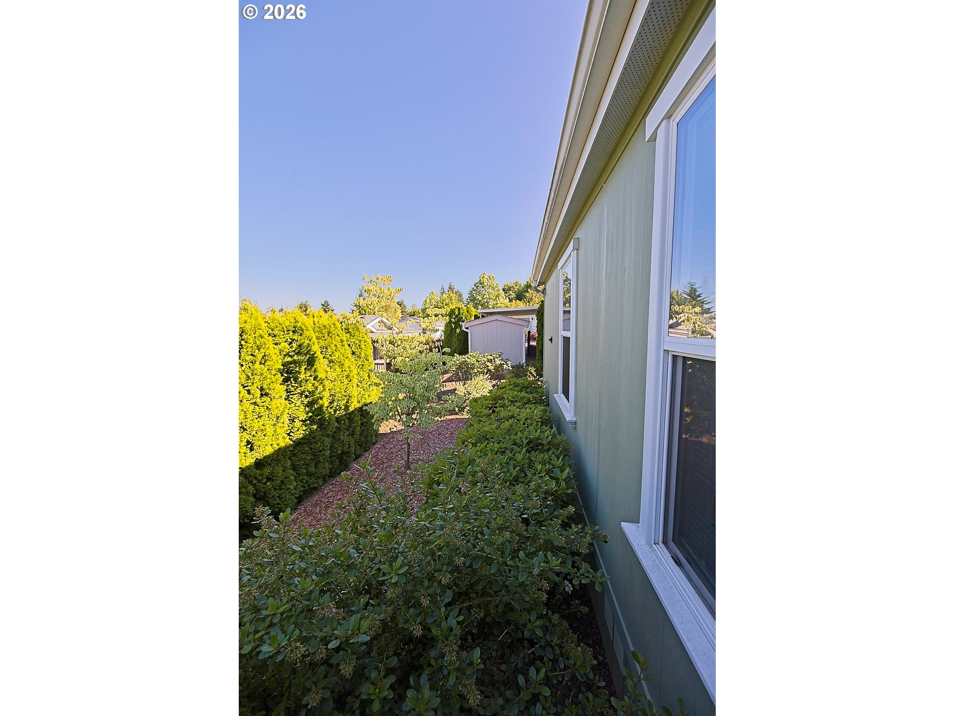 1630 Wallace Road Northwest Salem, OR 97304 - Photo 22 of 24 a picture of a flower in a garden