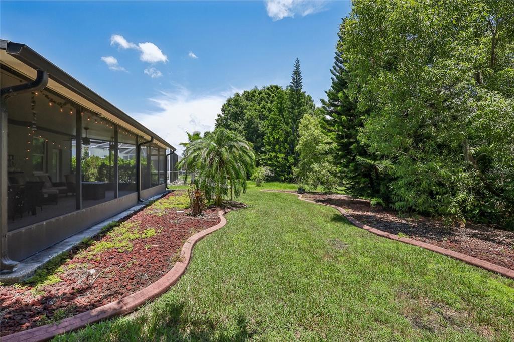 1628 Crossvine Court Trinity, FL 34655 - Photo 48 of 58