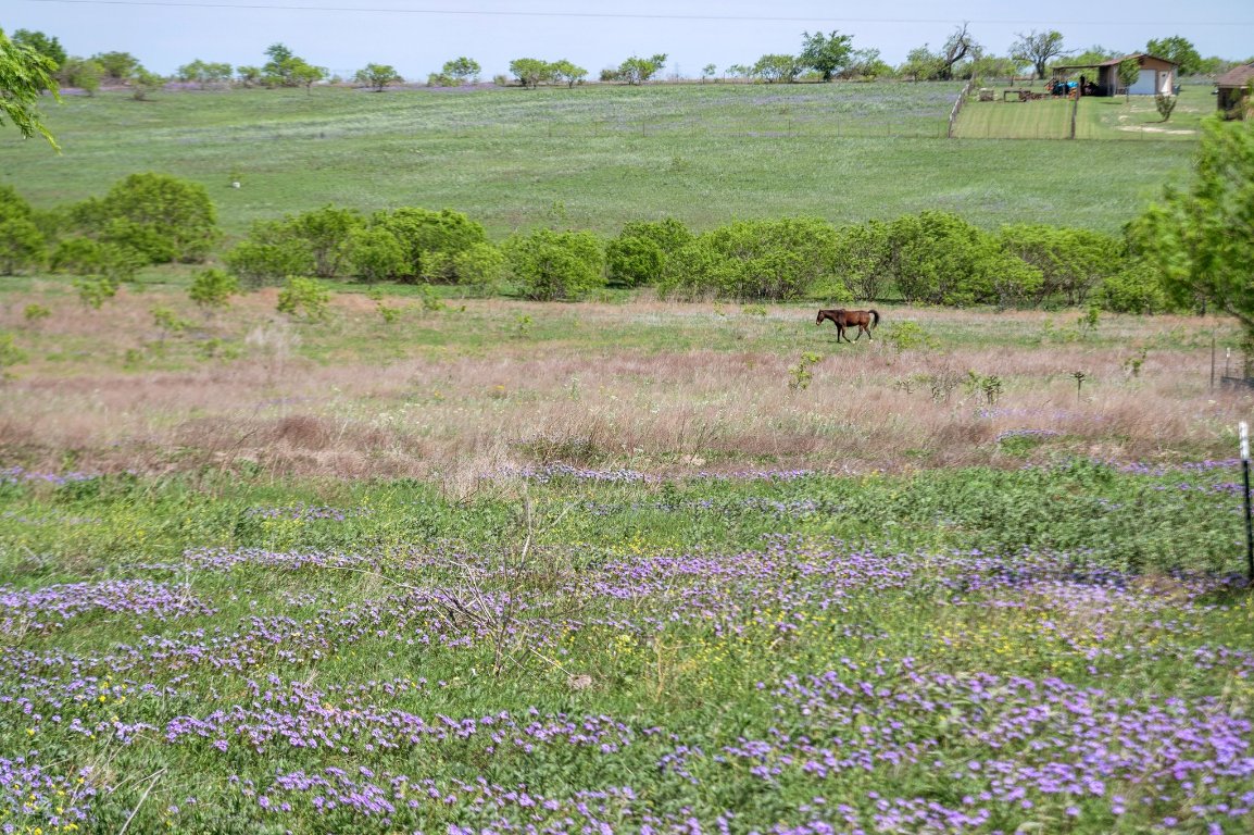 14325 South Turnersville Road Buda, TX 78610 - Photo 29 of 35 View of back pasture