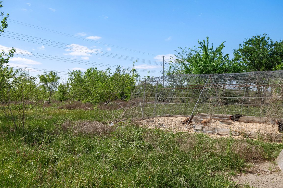 14325 South Turnersville Road Buda, TX 78610 - Photo 31 of 35 View of yard with a chicken coop