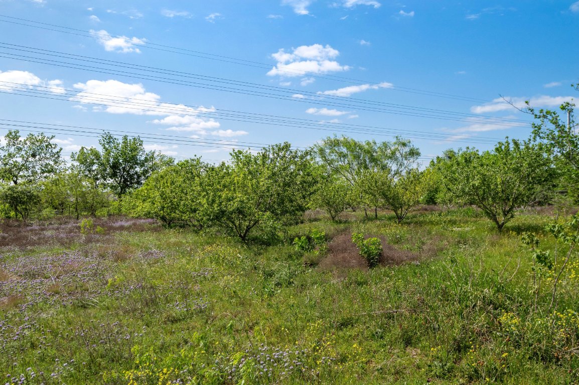 14325 South Turnersville Road Buda, TX 78610 - Photo 32 of 35 Current owners planted an orchard
