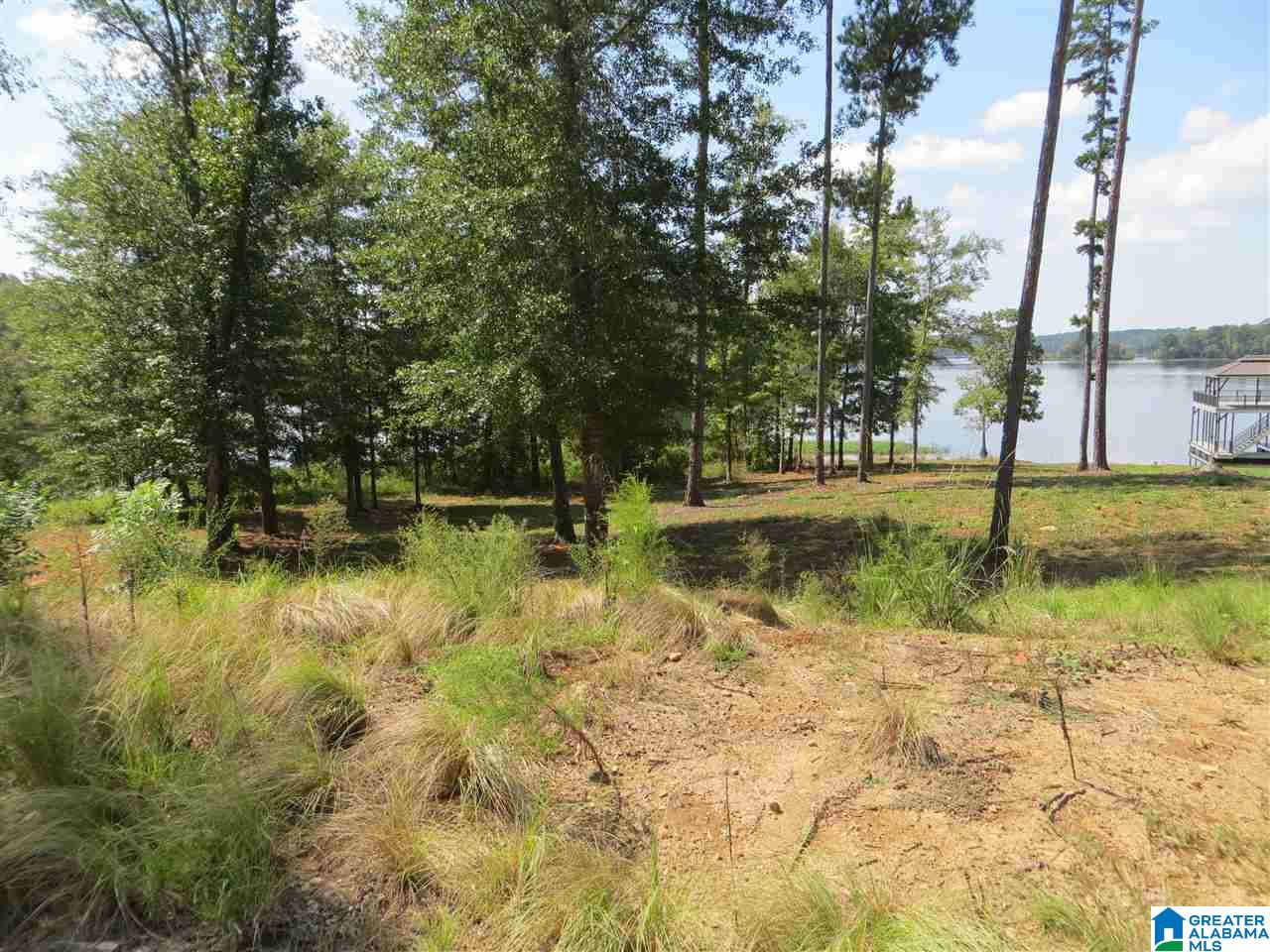 Lot 11 Eagle Mountain Road, Unit 11 Alexander City, AL 35010 - Photo 2 of 11